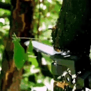 🔥Hot sale - 4/6 Inch Electric Drill Modified To Electric Chainsaw Drill Attachment