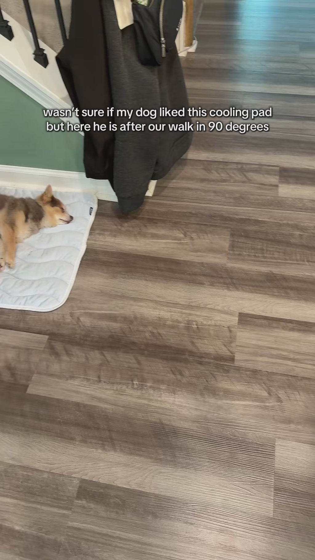 Dog Cooling Mat – Self Cooling Pad for Dogs, Pet Cooling Bed for Summer Heat Relief